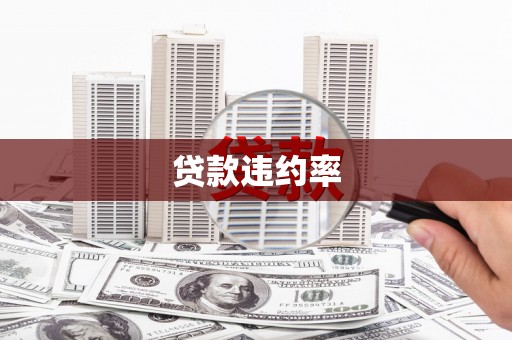 桑植贷款违约率