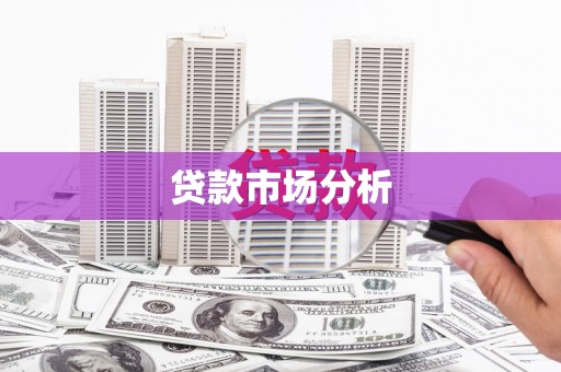桑植贷款市场分析