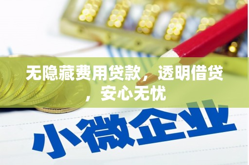 桑植无隐藏费用贷款，透明借贷，安心无忧