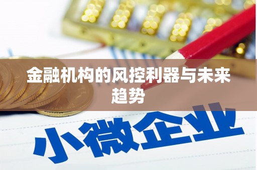 桑植金融机构的风控利器与未来趋势