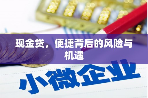 桑植现金贷，便捷背后的风险与机遇