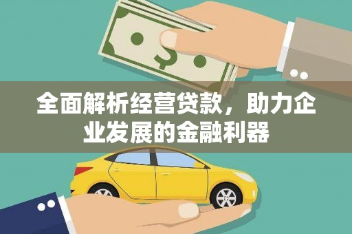 桑植全面解析经营贷款，助力企业发展的金融利器