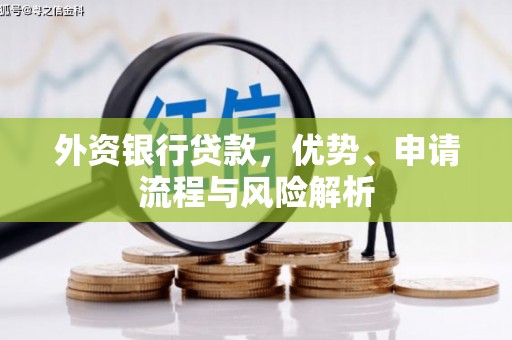 桑植外资银行贷款，优势、申请流程与风险解析