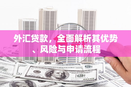 桑植外汇贷款，全面解析其优势、风险与申请流程