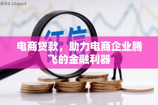桑植电商贷款，助力电商企业腾飞的金融利器