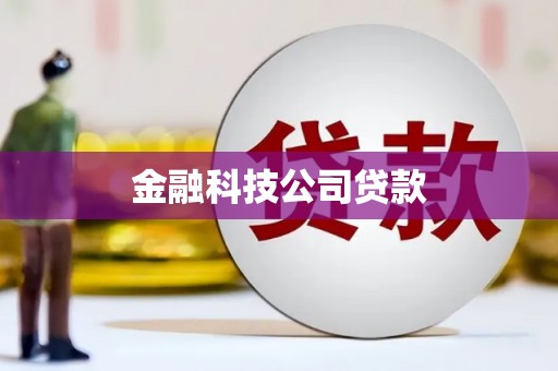 桑植金融科技公司贷款