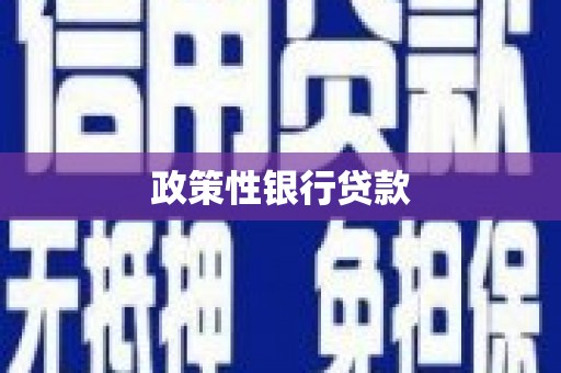 桑植政策性银行贷款