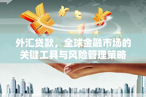 桑植外汇贷款，全球金融市场的关键工具与风险管理策略