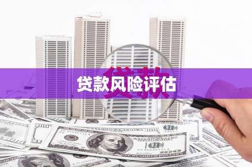 桑植贷款风险评估