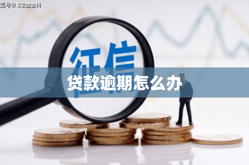 桑植贷款逾期怎么办