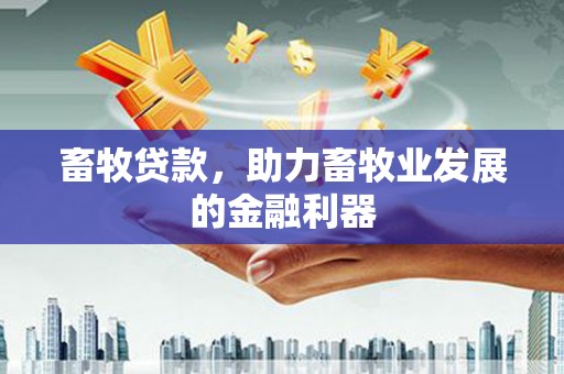 桑植畜牧贷款，助力畜牧业发展的金融利器