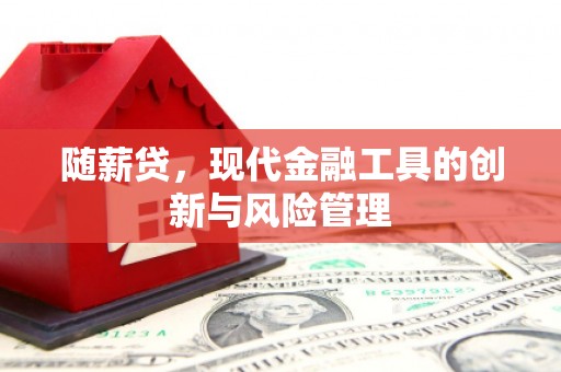 桑植随薪贷，现代金融工具的创新与风险管理