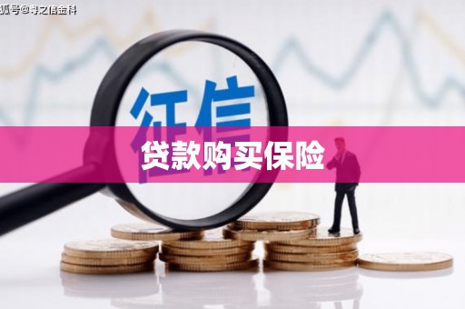 桑植贷款购买保险