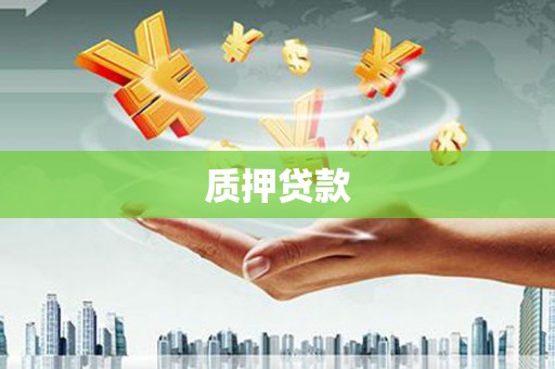 桑植质押贷款
