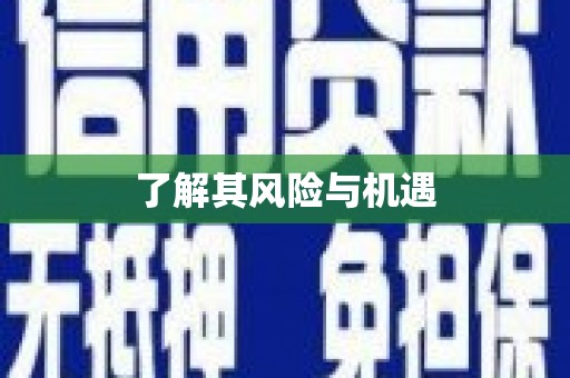桑植了解其风险与机遇