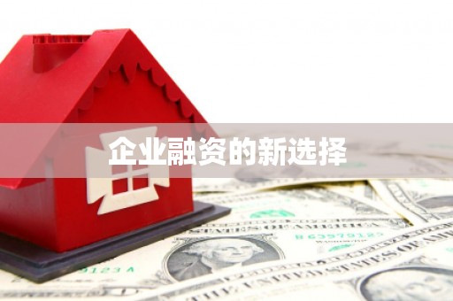 桑植企业融资的新选择