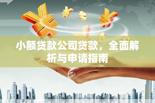 桑植小额贷款公司贷款，全面解析与申请指南