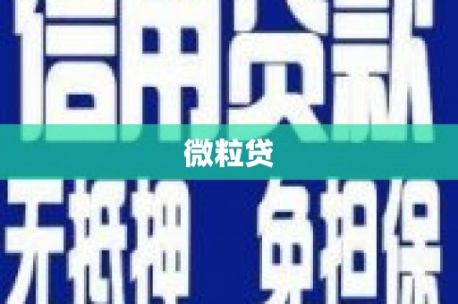桑植微粒贷