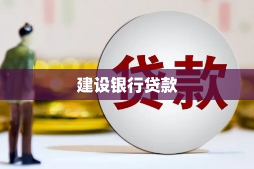 桑植建设银行贷款