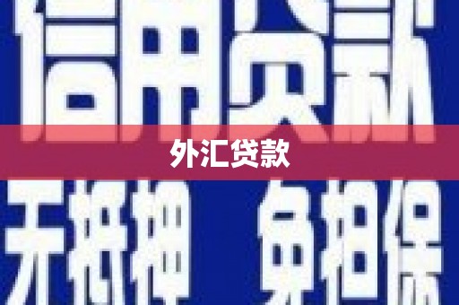 桑植外汇贷款