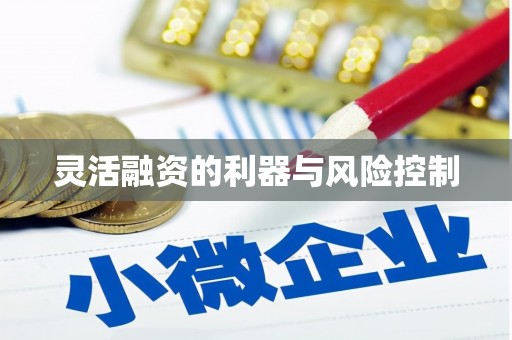 桑植灵活融资的利器与风险控制
