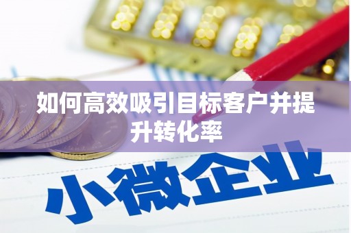 桑植如何高效吸引目标客户并提升转化率