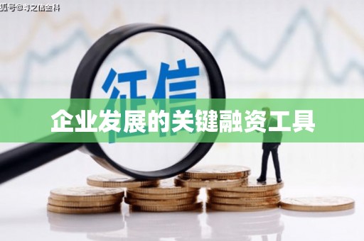 桑植企业发展的关键融资工具