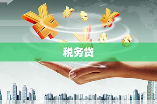 桑植税务贷
