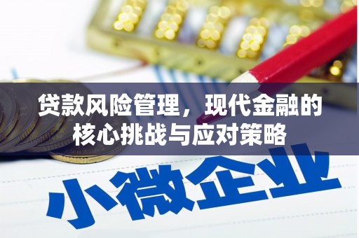 桑植贷款风险管理，现代金融的核心挑战与应对策略