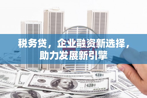 桑植税务贷，企业融资新选择，助力发展新引擎