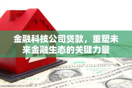 桑植金融科技公司贷款，重塑未来金融生态的关键力量