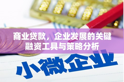 桑植商业贷款，企业发展的关键融资工具与策略分析