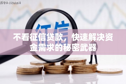 桑植不看征信贷款，快速解决资金需求的秘密武器