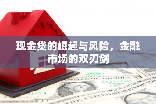 桑植现金贷的崛起与风险，金融市场的双刃剑