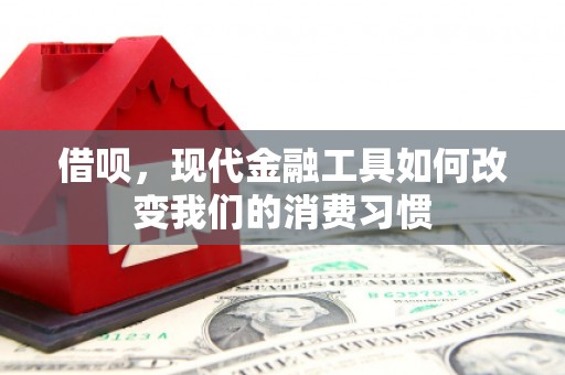 桑植借呗，现代金融工具如何改变我们的消费习惯