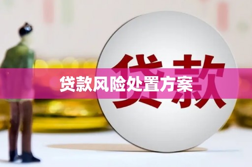 桑植贷款风险处置方案