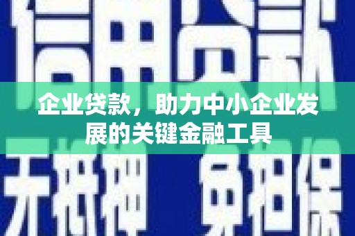 桑植企业贷款，助力中小企业发展的关键金融工具