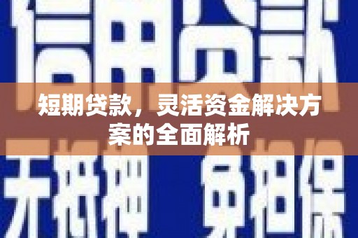桑植短期贷款，灵活资金解决方案的全面解析