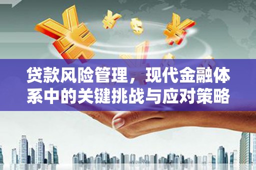 桑植贷款风险管理，现代金融体系中的关键挑战与应对策略