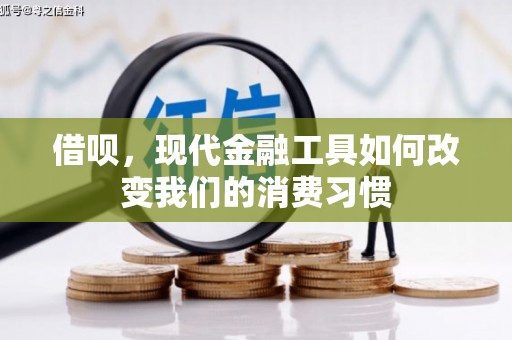 桑植借呗，现代金融工具如何改变我们的消费习惯