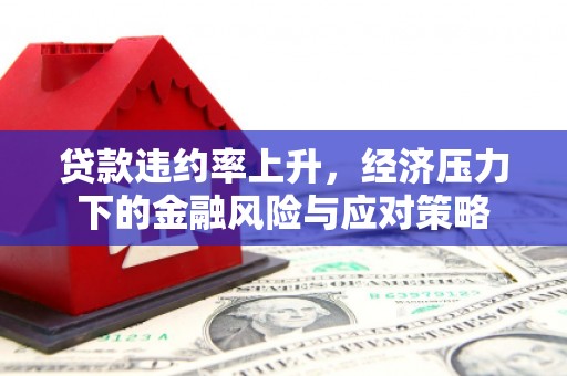 桑植贷款违约率上升，经济压力下的金融风险与应对策略
