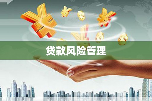 桑植贷款风险管理