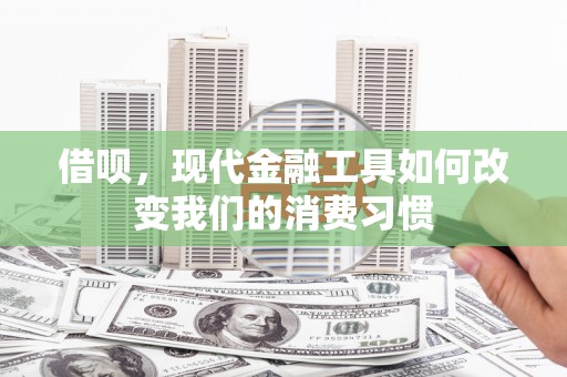 桑植借呗，现代金融工具如何改变我们的消费习惯