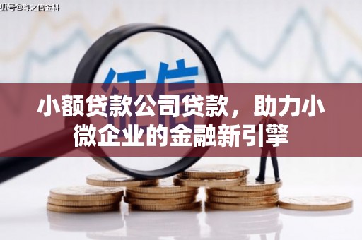 桑植小额贷款公司贷款，助力小微企业的金融新引擎