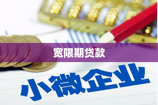 桑植宽限期贷款
