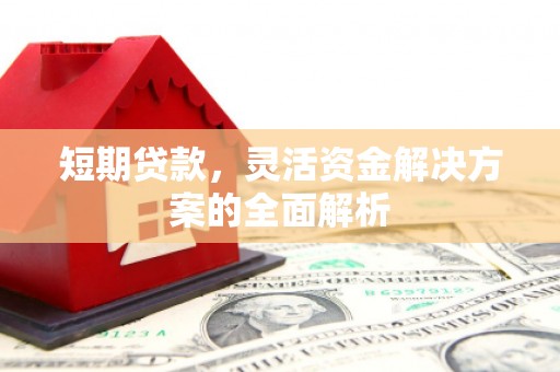 桑植短期贷款，灵活资金解决方案的全面解析