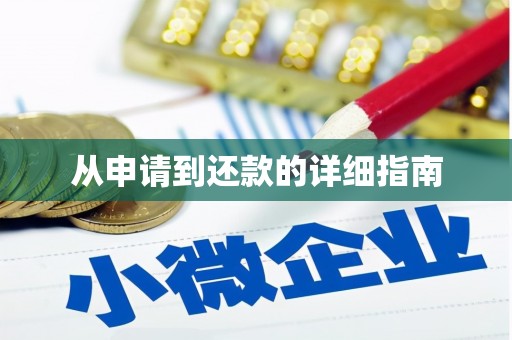 桑植从申请到还款的详细指南