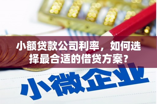 桑植小额贷款公司利率，如何选择最合适的借贷方案？