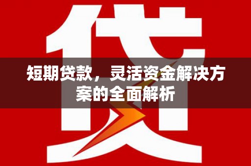 桑植短期贷款，灵活资金解决方案的全面解析