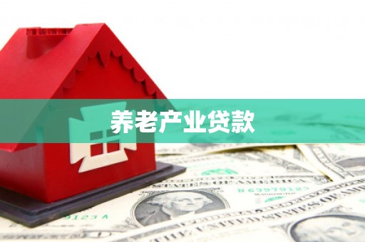 桑植养老产业贷款